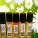 ScentsOasis avatar