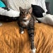 Maggie