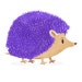 thepurplehedgehog avatar