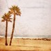 SomethingBeachyStore avatar