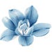 EfiliDesign