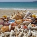 BeachHarmonyChic