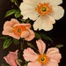 PrintArtDesignsCo