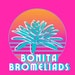 Bonita Bromeliads shopbonitabromeliads.com