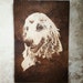 CarolinaYankeeDecor