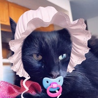 ElffriendFiberArts