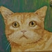 beeblecat avatar