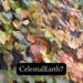 CelestialEarth7