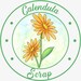 Calendula Scrap