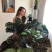 RebelPlantsUK