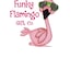 Funky Flamiingo