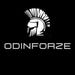 Odineforze