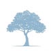 Oak Valley Designs