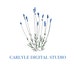 Sophie Carlyle