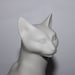 Julie Parker