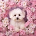PhotoPerfectPresets