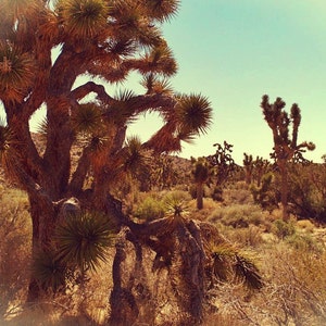 Phrygian Cap French Revolutionary Hat in Red Linen, Olive Green Hemp ...
