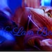 NeelamBeauty