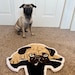 EVPUG