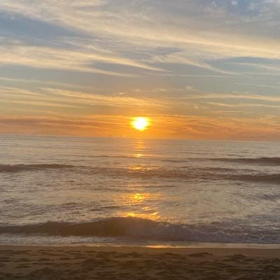 Nina's profile picture