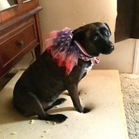 Solved: Why do I have to pay for shipping labels? - Welcome to the Etsy Community