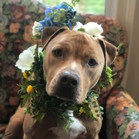 NineMonthsGreetings