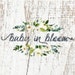 Baby In Bloom Co.