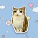 Meowl Update