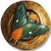 Buyer Avatar