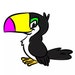 Toucan Craft avatar