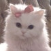 Buyer Avatar