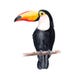ToucanStudioDesign