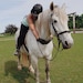 Buyer Avatar