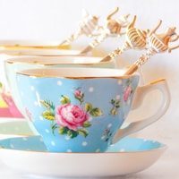 AllLittleCuteThings