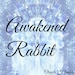 Awakened Rabbit