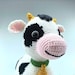 Colorcarnaval Amigurumi Designer