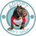 Buyer Avatar