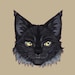 Buyer Avatar