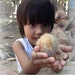 Mission to Myanmar