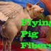 FlyingPigFibers