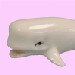 tinywhitewhale avatar