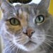 Annette Yebba avatar
