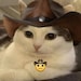Buyer Avatar