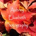 Aubrey Elizabeth avatar