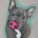 Buyer Avatar