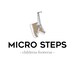 Micro Steps