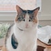 CharlotteandSparrow