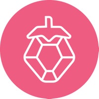 MissDesignBerryInc