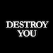 Destroy You
