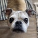 Buyer Avatar